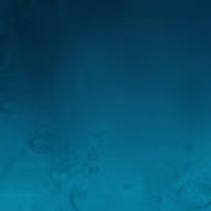 Meet your Posher, Alexander